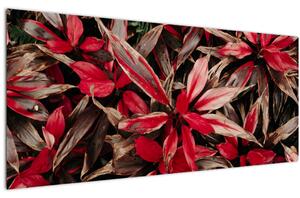 Slika crvenih latica (120x50 cm)