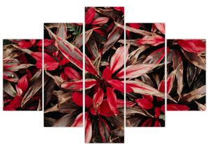 Slika crvenih latica (150x105 cm)