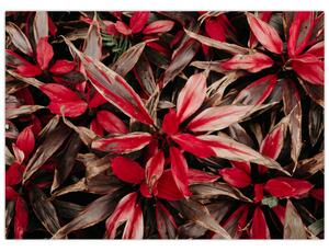 Slika crvenih latica (70x50 cm)