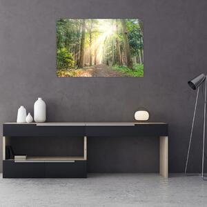 Slika staze u šumi (90x60 cm)