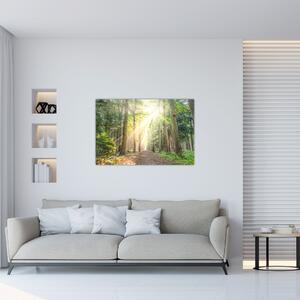Slika staze u šumi (90x60 cm)