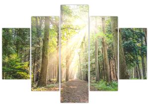Slika staze u šumi (150x105 cm)