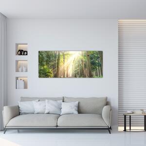 Slika staze u šumi (120x50 cm)