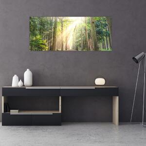 Slika staze u šumi (120x50 cm)