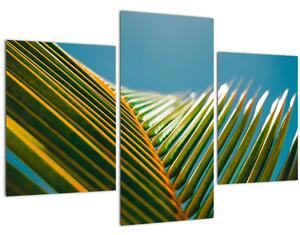 Slika - Detalj palminog lista (90x60 cm)