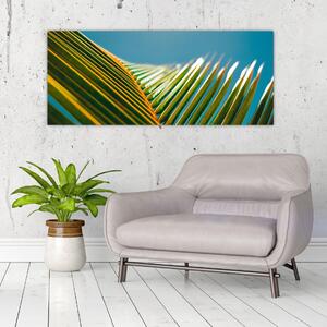Slika - Detalj palminog lista (120x50 cm)