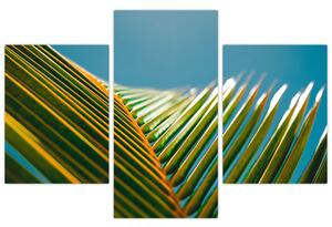 Slika - Detalj palminog lista (90x60 cm)