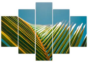 Slika - Detalj palminog lista (150x105 cm)