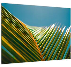 Slika - Detalj palminog lista (70x50 cm)