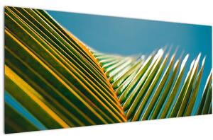 Slika - Detalj palminog lista (120x50 cm)