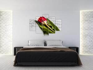 Slika crvenog tulipana (150x105 cm)