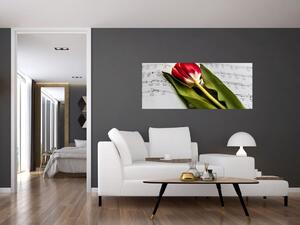 Slika crvenog tulipana (120x50 cm)