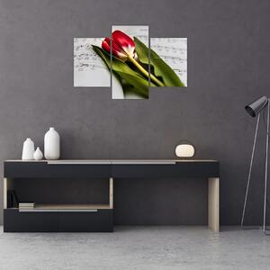 Slika crvenog tulipana (90x60 cm)