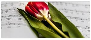 Slika crvenog tulipana (120x50 cm)