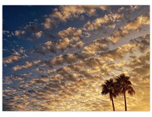 Slika - Palme među oblacima (70x50 cm)