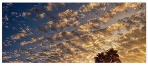 Slika - Palme među oblacima (120x50 cm)