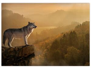 Slika vuka na stijeni (70x50 cm)