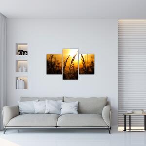 Slika zalazećeg sunca (90x60 cm)
