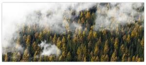 Slika šume u oblacima (120x50 cm)