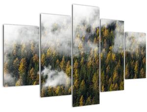 Slika šume u oblacima (150x105 cm)