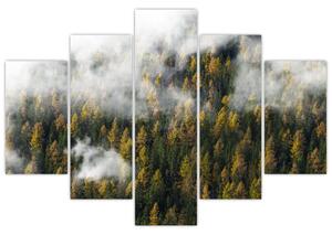 Slika šume u oblacima (150x105 cm)