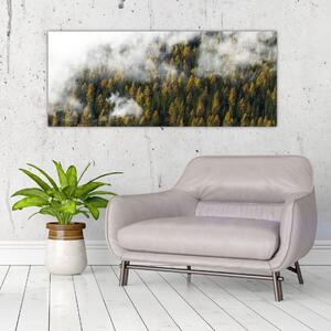 Slika šume u oblacima (120x50 cm)