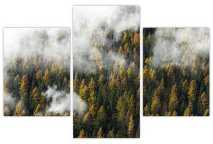 Slika šume u oblacima (90x60 cm)