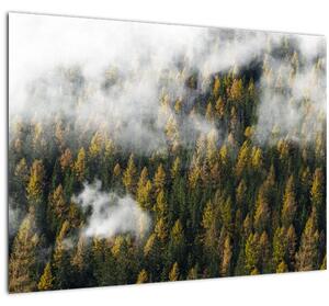 Slika šume u oblacima (70x50 cm)