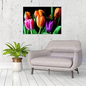 Slika tulipana na crnoj pozadini (70x50 cm)