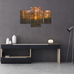 Slika jesenske šume (90x60 cm)