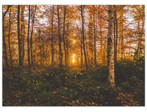 Slika jesenske šume (70x50 cm)