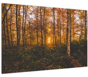 Slika jesenske šume (90x60 cm)