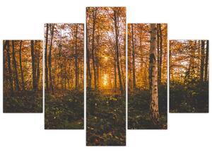 Slika jesenske šume (150x105 cm)