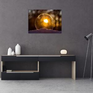 Slika - Prozirni mjehurić (70x50 cm)