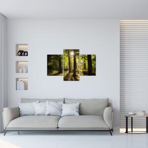 Slika šume snova (90x60 cm)