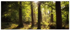 Slika šume snova (120x50 cm)