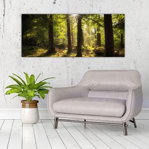 Slika šume snova (120x50 cm)