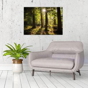 Slika šume snova (70x50 cm)
