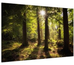 Slika šume snova (90x60 cm)
