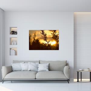 Slika - Zalazak sunca iza stabala (90x60 cm)