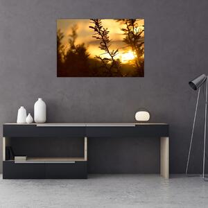 Slika - Zalazak sunca iza stabala (90x60 cm)