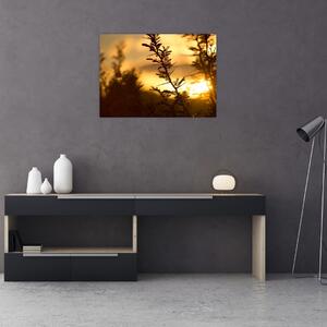 Slika - Zalazak sunca iza stabala (70x50 cm)