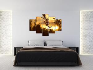 Slika - Zalazak sunca iza stabala (150x105 cm)