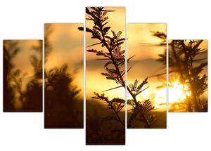 Slika - Zalazak sunca iza stabala (150x105 cm)