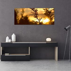 Slika - Zalazak sunca iza stabala (120x50 cm)