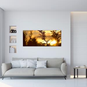 Slika - Zalazak sunca iza stabala (120x50 cm)