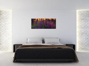 Slika cvjetova lupine (120x50 cm)