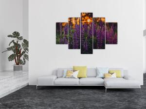 Slika cvjetova lupine (150x105 cm)