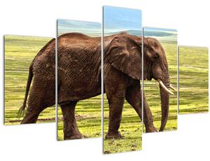 Slika slona (150x105 cm)