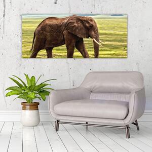 Slika slona (120x50 cm)